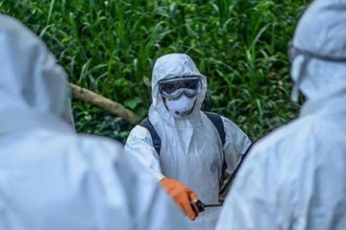 افزایش شمار تلفات «ابولا» در کنگو