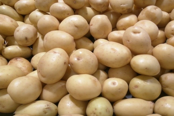  ممنوعیت صادرات سیب‌زمینی به عراق  رفع شد + سند