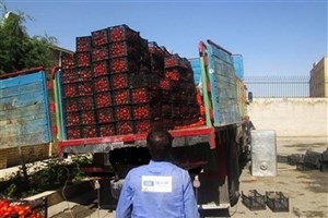چرا عراق محموله صادراتی گوجه ایران را برگشت زد؟