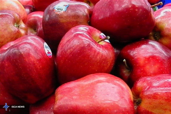صادرات سیب به 24 کشور جهان/ صادرات 8 برابر شد