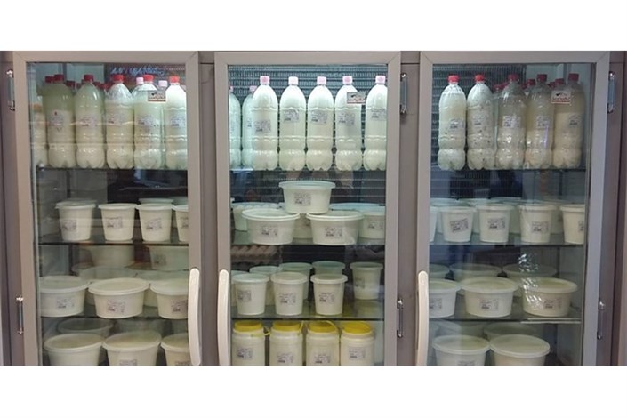 افزایش ۵.۷ درصدی شیر در کشور/ خودکفایی در تولید شیرخشک