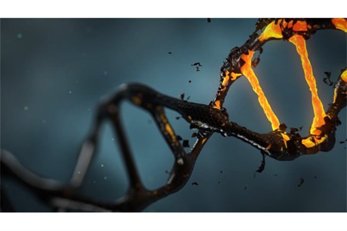 پیش‌بینی قد و بیماری‌های جدی با ابزار جدید "DNA"