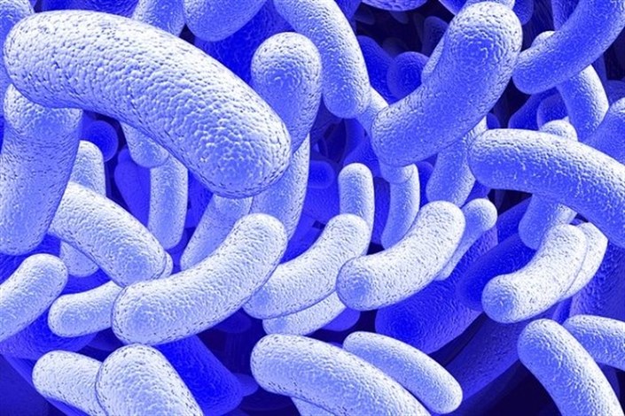 مخزن جهانی از میکروب های بدن ایجاد می شود