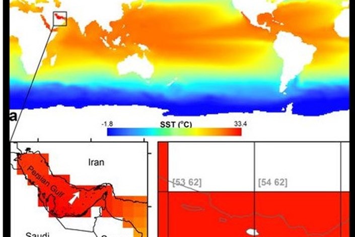 مدل‌سازی وزشِ باد/ راه اندازی اپلیکشن پیش بینی جوی و اقیانوسی در آینده نزدیک