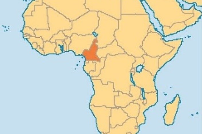 بیش از هشتاد نفر در کامرون ربوده شدند