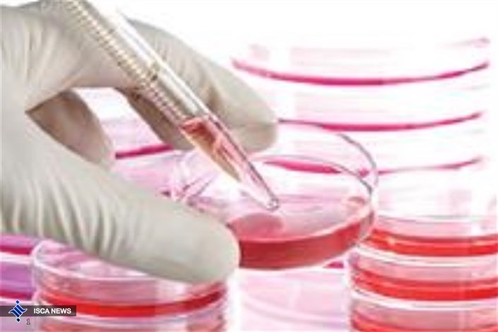 تازه‌ترین دستاوردهای محصولات تحقیقاتی سلول‌های بنیادی کشور 