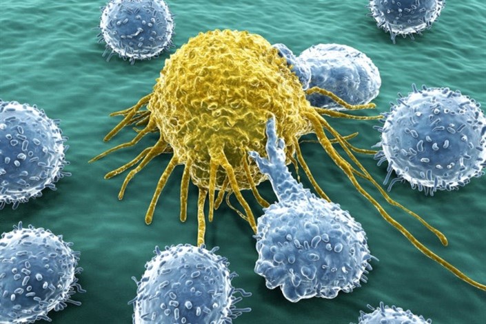 نقش سیستم ایمنی در  ژنتیک تومورها