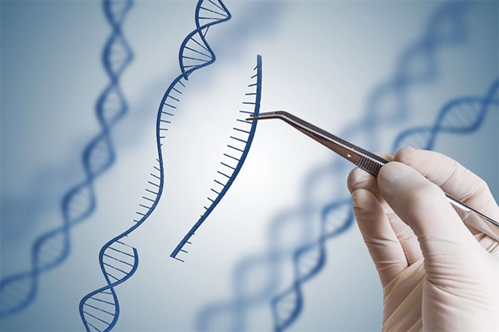 ژن درمانی روش جدید درمان اختلالات خونی