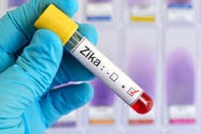 ویروس زیکا هویت سلول های ایمنی را از آن ها می گیرد