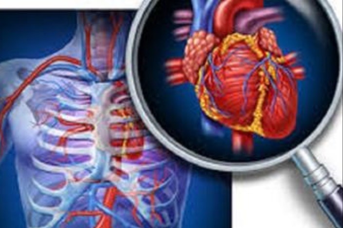   چگونگی سازگاری برخی از سلول های قلبی با فشارخون بالا
