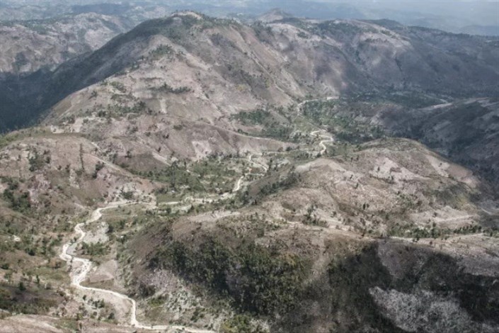 آیا هائیتی تمام جنگل‌هایش را از دست داده است؟ 