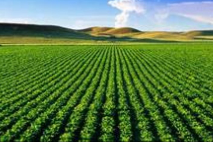 توسعه فناوری‌های نوین در کشاورزی توسط یک شرکت دانش‌بنیان داخلی