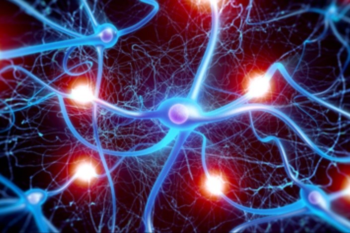   کشف منبعی فراوان برای سلول های عصبی