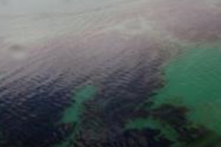 حذف لکه‌های نفتی از محیط‌های آبی و خاکی 