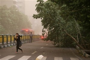 هواشناسی ایران/ هشدار وزش باد شدید و رگبار باران در نقاط مختلف کشور