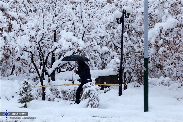 بارش برف و باران از شنبه در ‌اکثر شهرها/اردبیل سردترین شهر