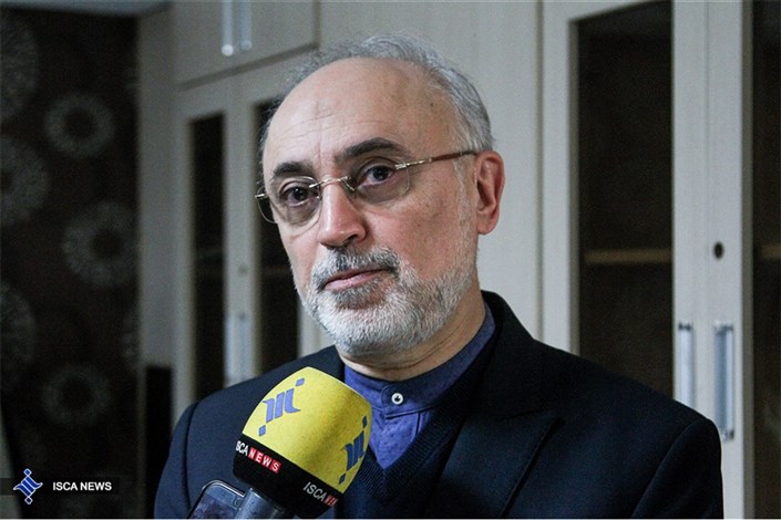  صالحی: ایران در طول برجام ۲۴ تن اورانیوم را غنی‌سازی کرد