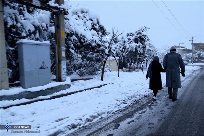 پرهیز از سفرهای غیر ضروری در روزهای برفی/ شن پاشی معابر تهران 