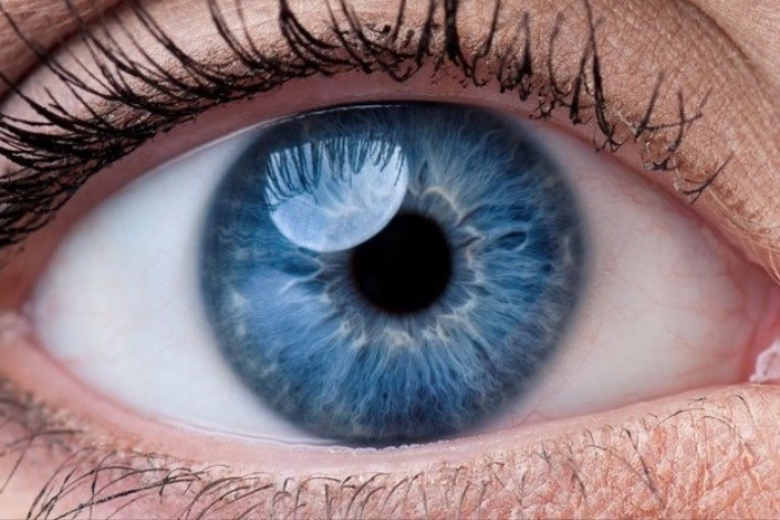  احیای بینایی توسط سلول های بنیادی 