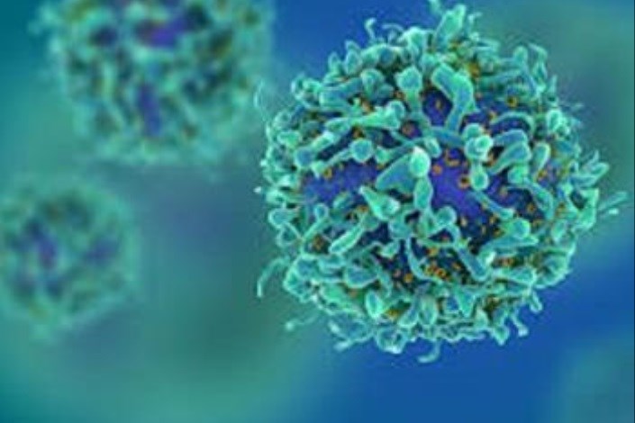  ایجاد منبعی تجدید‌شدنی از سلول‌های T‌ مبارزه کننده با سرطان