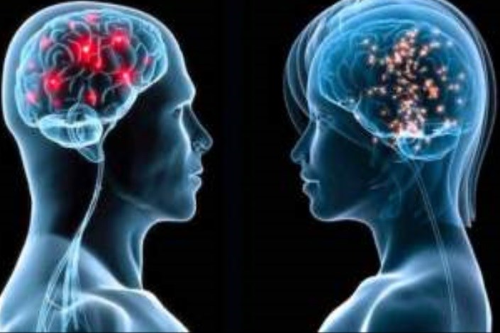مغز زنان جوانتر است یا مردان؟