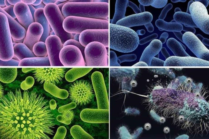 نقش میکروارگانیسم‌ها در صنعت