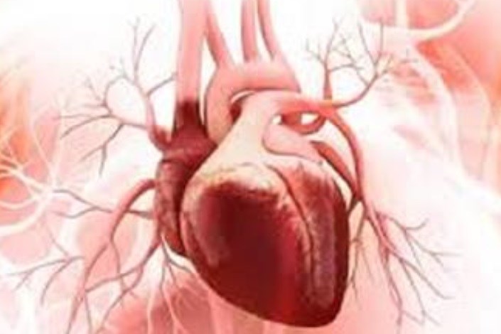 ترمیم قلب‌های آسیب‌دیده با استفاده از تکه‌های بافتی مشتق از سلول‌های بنیادی