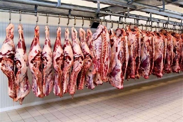 دستور آملی لاریجانی  برای بررسی دپوی ۱۷هزار تن گوشت در بندرعباس
