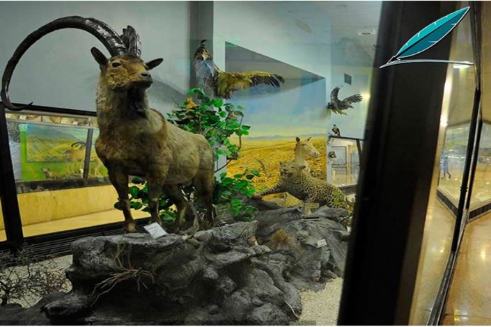امروز بازدید از موزه تنوع زیستی پارک پردیسان رایگان است