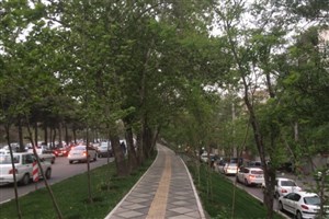 هواشناسی ایران/ پیش‌بینی کاهش دمای استان‌های شمالی از روز جمعه