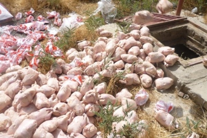 معدوم سازی 1311   کیلو گوشت مرغ منجمد تاریخ مصرف گذشته در جیرفت