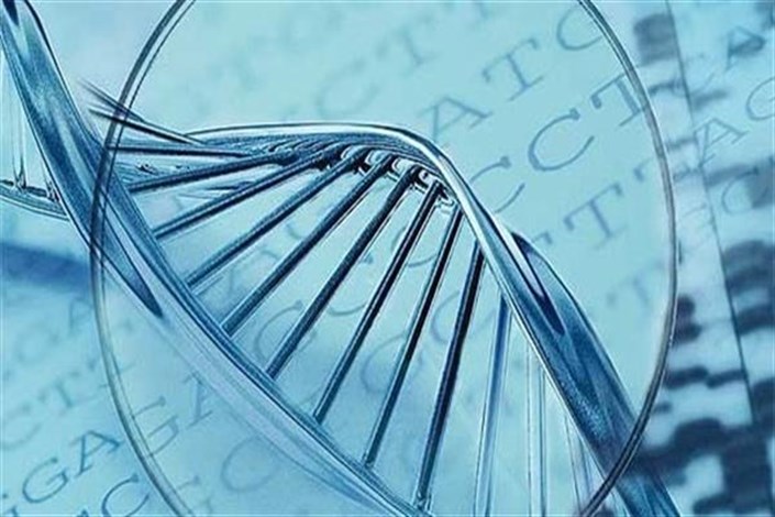 استانداردهای حفاظت از ذخائر ژنتیکی کشور ارتقا می‌یابد