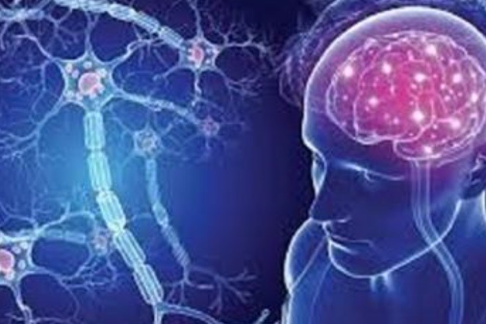 سلول های بنیادی مغزی در بیماران مبتلا به MS سریع تر پیر می شوند