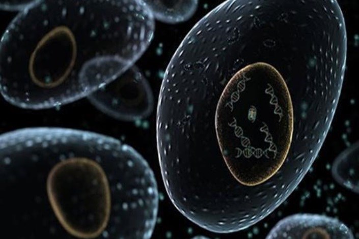 داروهای ضدسرطان با نانوذرات جدید انتقال می‎یابند