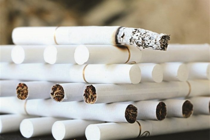 هزینه ۱۵ میلیون دلاری برای واردات کاغذ سیگاراشتباه است