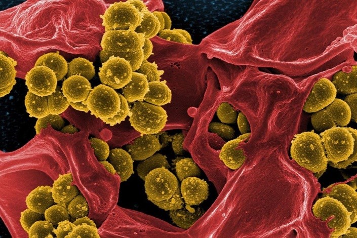 همگرایی نانو و زیست‌فناوری برای مقابله با مقاومت آنتی‌بیوتیکی باکتری‌ها