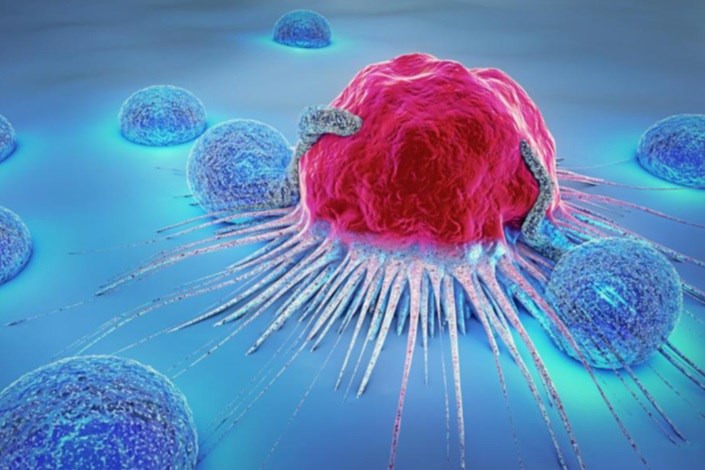 ارائه مدل سه‌بعدی سلول سرطانی برای مطالعات دارویی