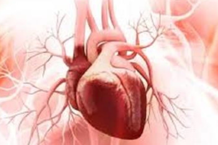   ژنتیک درمانی آسیب ناشی از حملات قلبی را بهبود می بخشد