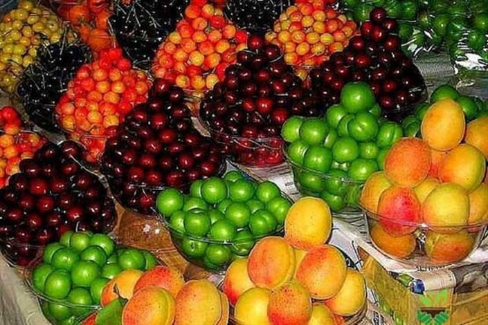 قیمت میوه در بازار مرکزی میوه و تره‌بار/ هندوانه کیلویی 400 تومان