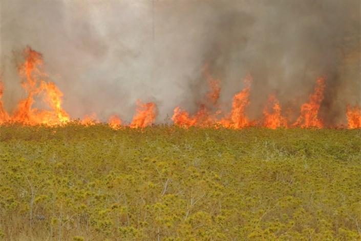 آتش سوزی در 9 هکتار از مزارع سیروان 