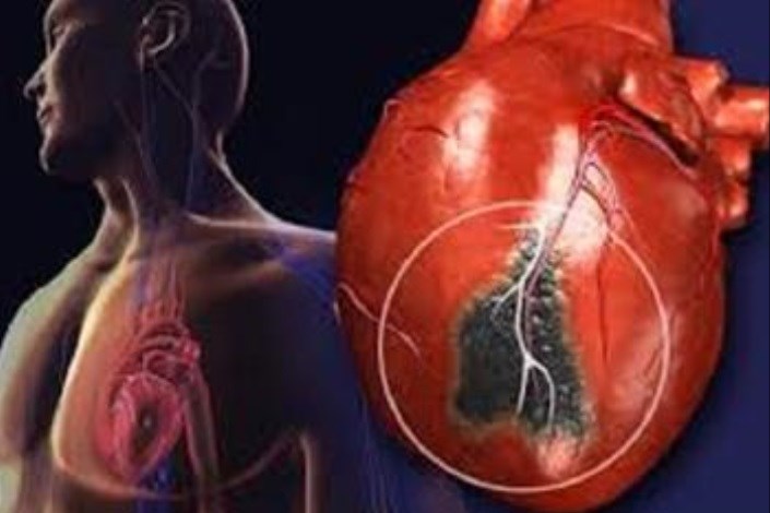 تکنیکی جدید و امیدوار کننده برای بازسازی عضلات قلبی