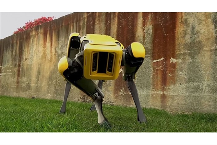 سگ های رباتیک به بازار آمدند