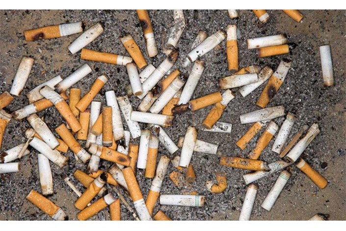 تجزیه فیلتر سیگار در طبیعت  ۳۶ ماه طول می‌کشد