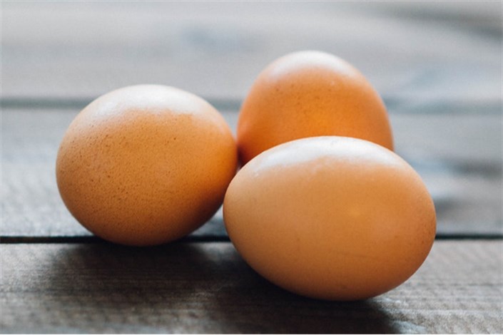 روزی سه تا تخم مرغ بخورید