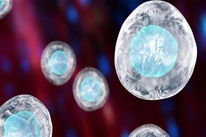 توان سلول‌های بنیادی امید به درمان بیماری‌ها را زنده کرد