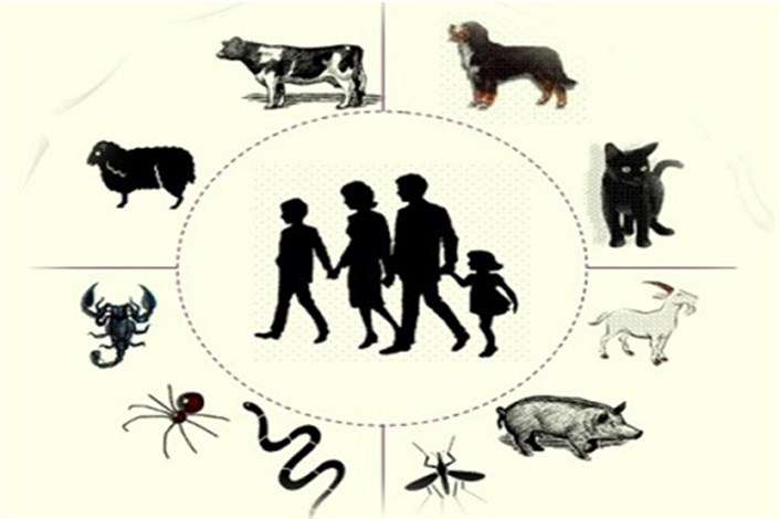 60 درصد بیماری های عفونی که به انسان ها منتقل می شوند، منشا حیوانی دارند
