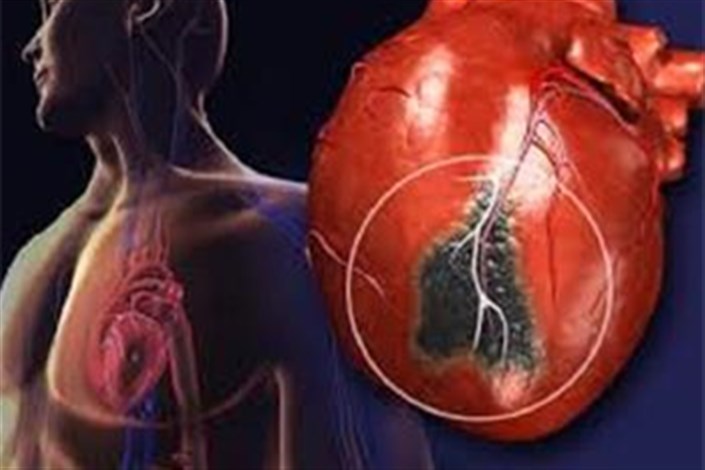 کشف راهی جدید برای هدایت سلول های بنیادی به بافت قلبی