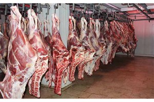 گوشت منجمد برزیلی از بندرعباس وارد کشور شد