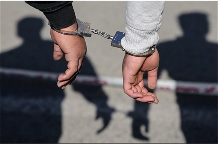  دستگیری یک سارق در پایانه جنوب/ مسافران مراقب وسایلشان باشند