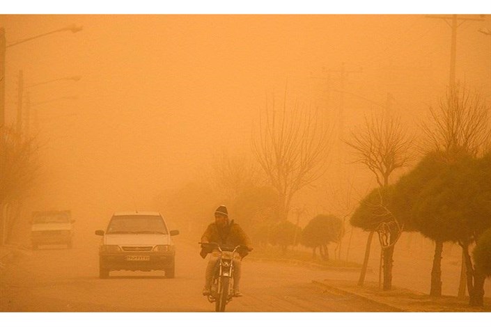 هشدار نارنجی برای خوزستان / احتمال شکستن سرشاخه درختان در اثر طوفان گرد وخاک